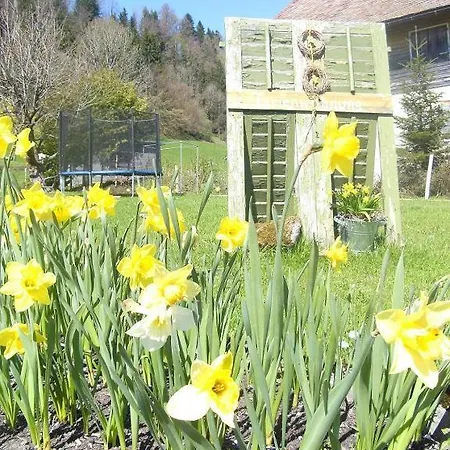 Ferienwohnung Lerch Bregenz Buitenkant foto