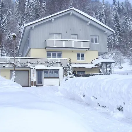 Ferienwohnung Lerch Bregenz Buitenkant foto